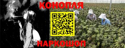 гидра Аша