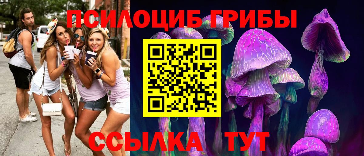 Галлюциногенные грибы Cubensis Домодедово
